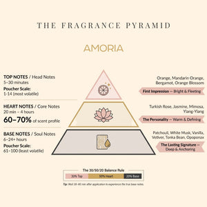 Amoria fragrance pyramid: top, heart and base notes