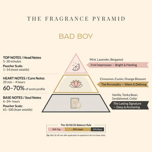 Bad Boy fragrance pyramid: top, heart and base notes