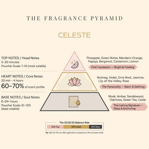 Celeste fragrance pyramid: top, heart and base notes