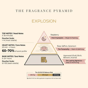 Explosion fragrance pyramid: top, heart and base notes