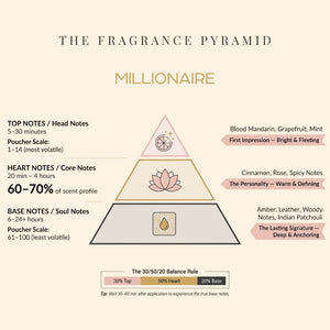 Millionaire fragrance pyramid: top, heart and base notes