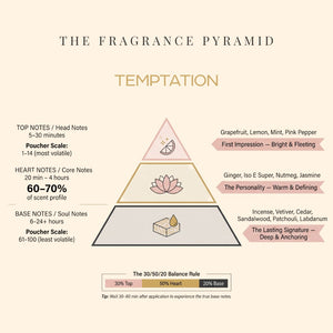 Temptation fragrance pyramid: top, heart and base notes