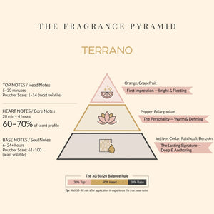 Terrano fragrance pyramid: top, heart and base notes