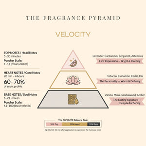 Velocity fragrance pyramid: top, heart and base notes