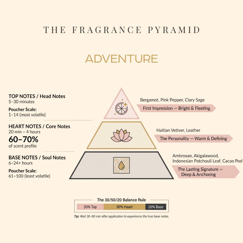 Adventure fragrance pyramid: top, heart and base notes