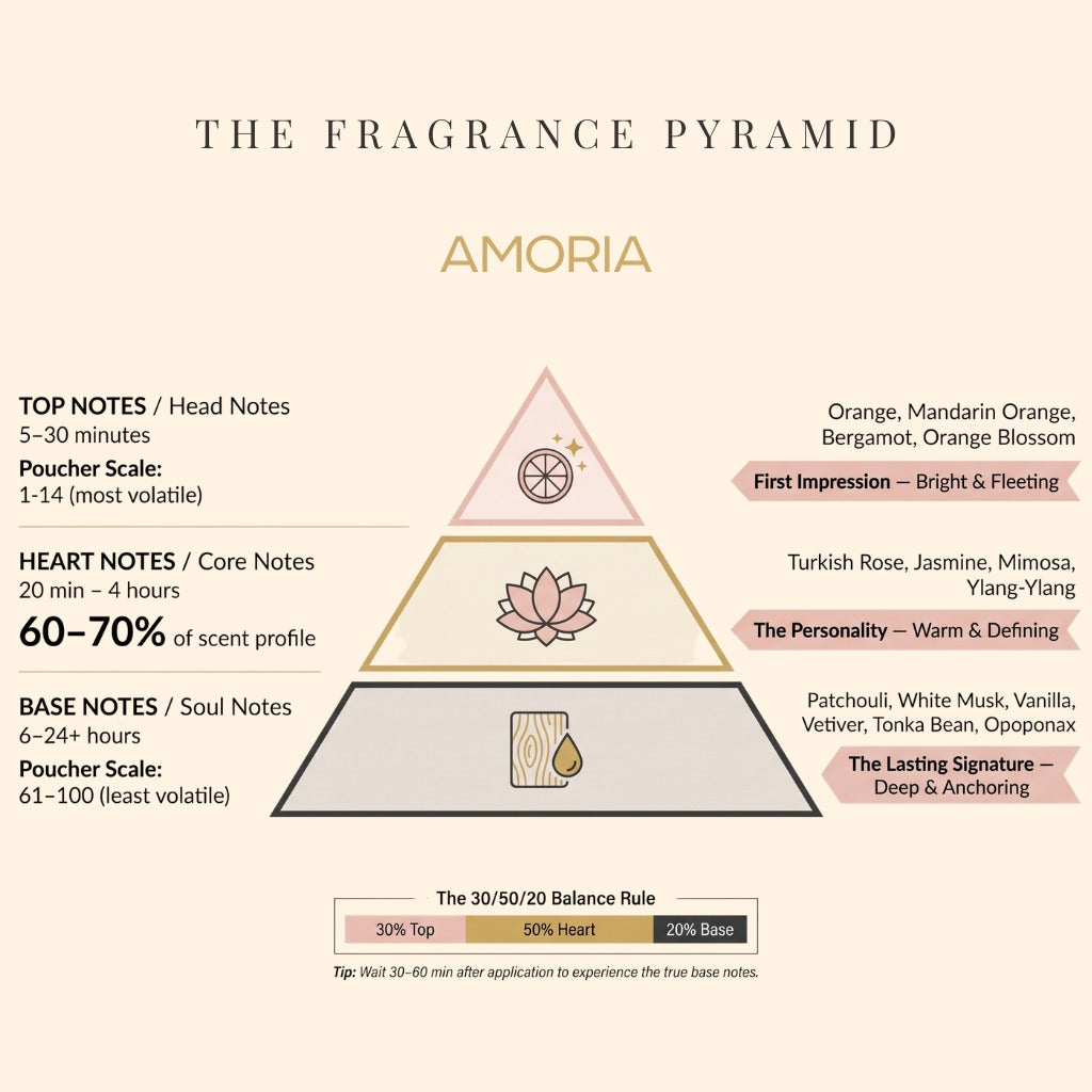 Amoria fragrance pyramid: top, heart and base notes
