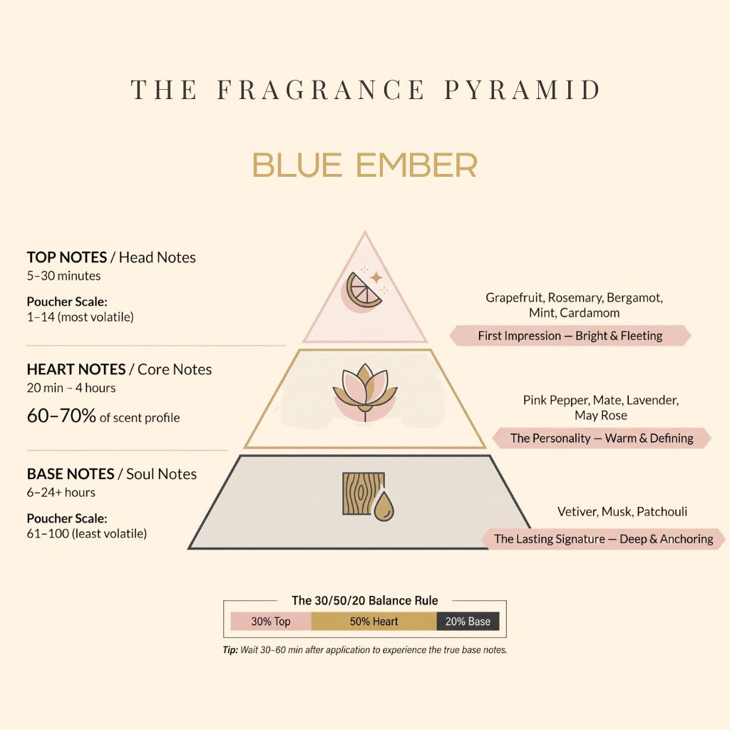 Blue Ember fragrance pyramid: top, heart and base notes