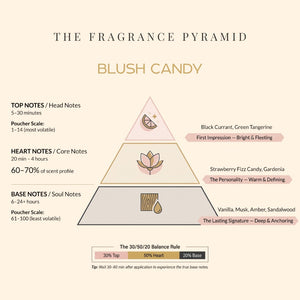 Blush Candy fragrance pyramid: top, heart and base notes