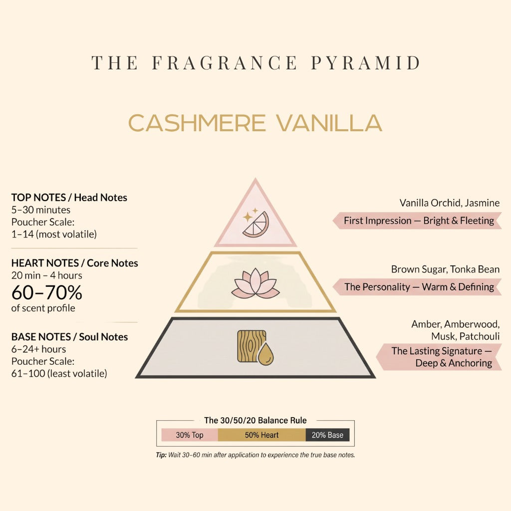 Cashmere Vanilla fragrance pyramid: top, heart and base notes