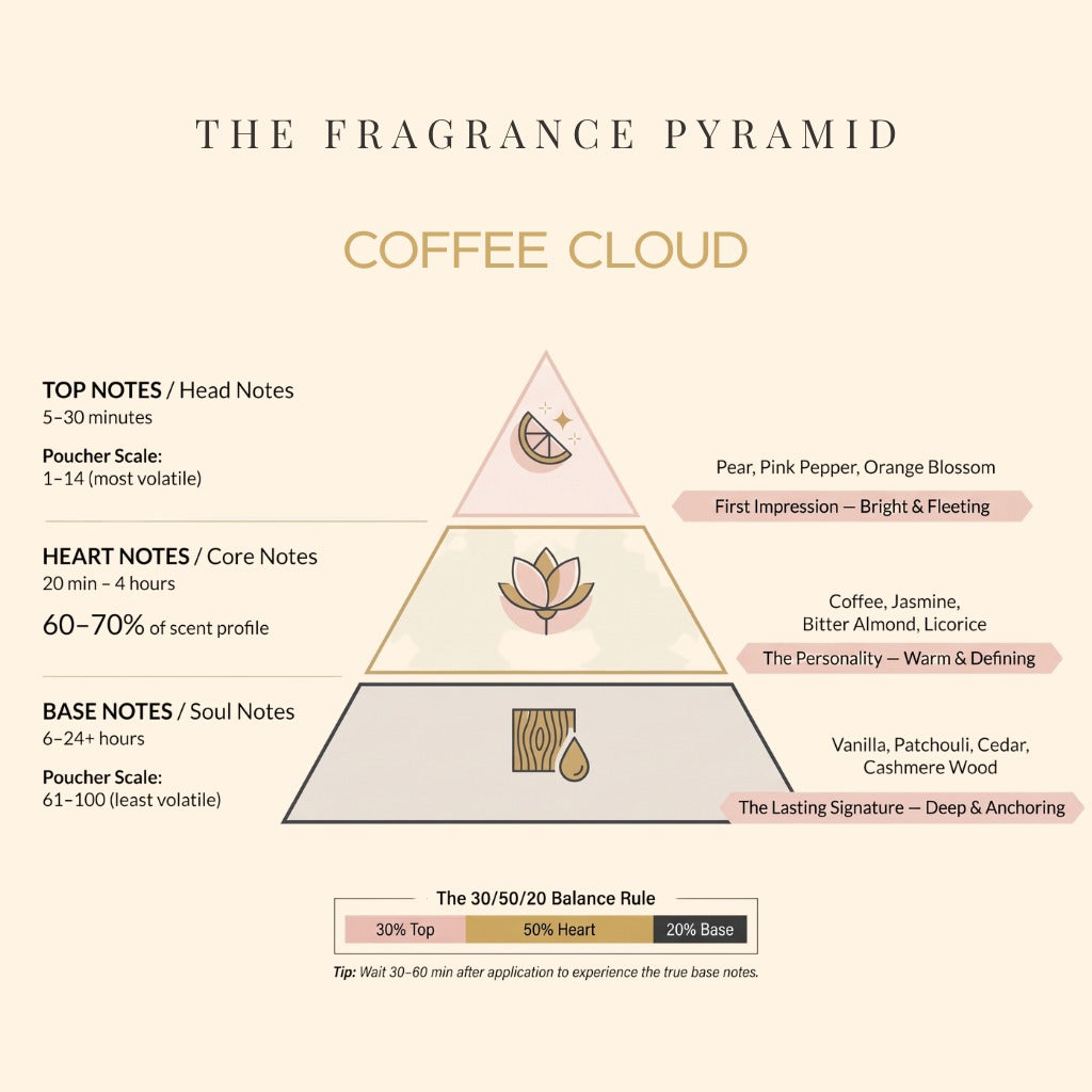 Coffee Cloud fragrance pyramid: top, heart and base notes