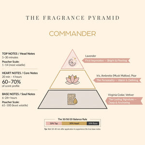 Commander fragrance pyramid: top, heart and base notes