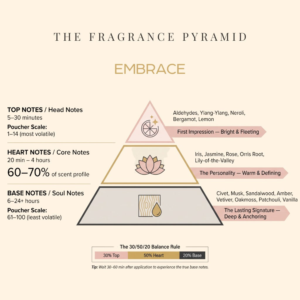 Embrace fragrance pyramid: top, heart and base notes