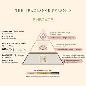 Embrace fragrance pyramid: top, heart and base notes