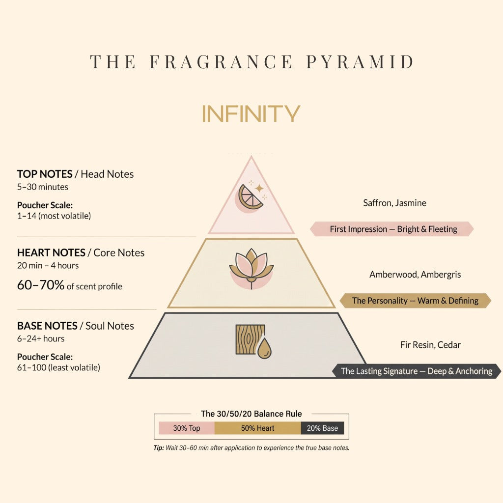 Infinity fragrance pyramid: top, heart and base notes