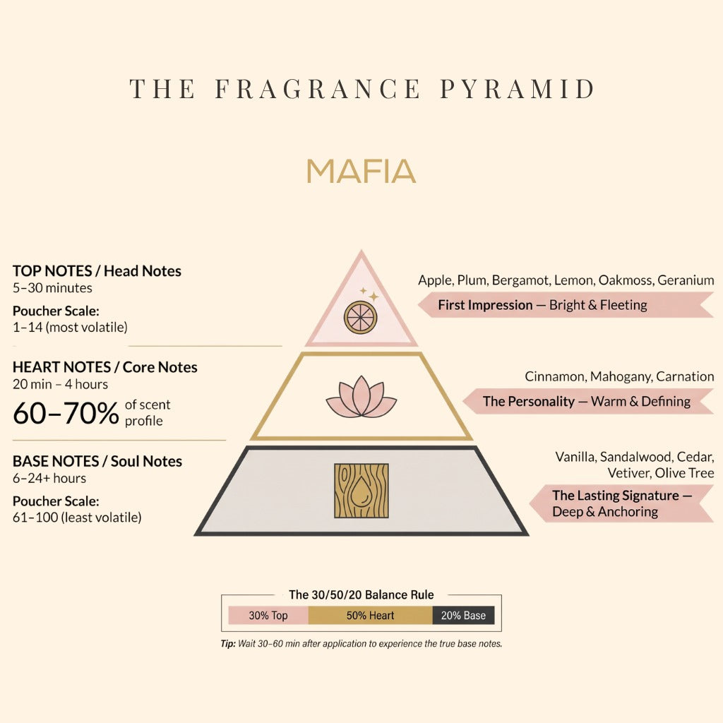 Mafia fragrance pyramid: top, heart and base notes
