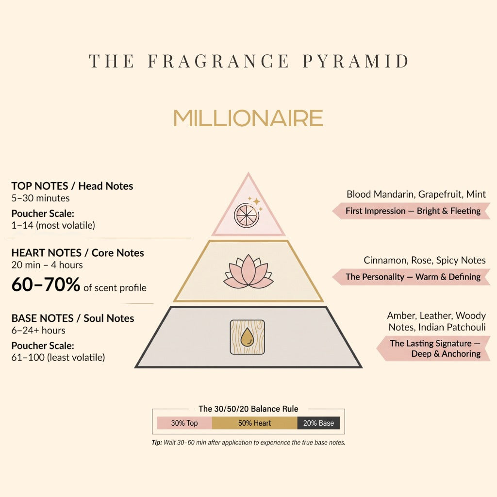 Millionaire fragrance pyramid: top, heart and base notes