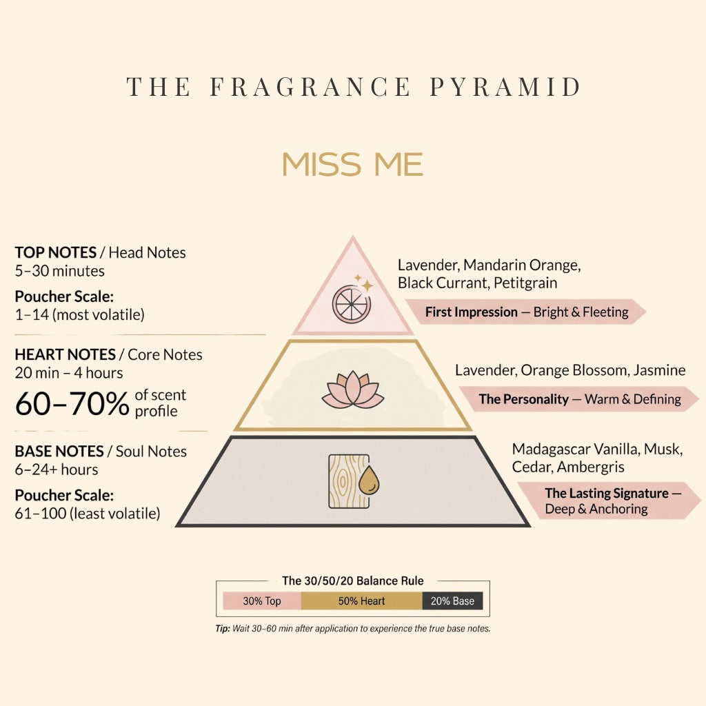 Miss Me fragrance pyramid: top, heart and base notes
