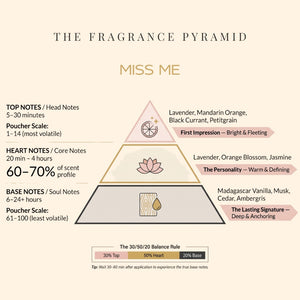 Miss Me fragrance pyramid: top, heart and base notes