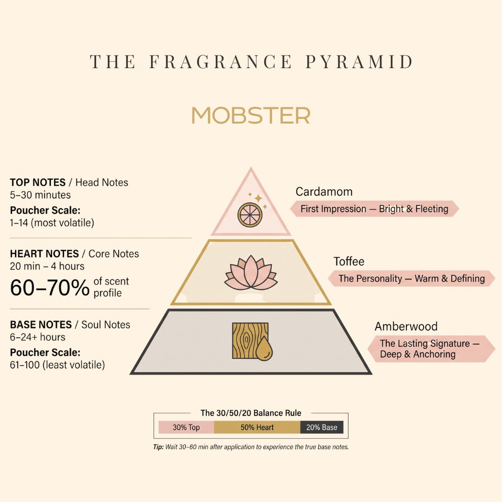 Mobster fragrance pyramid: top, heart and base notes