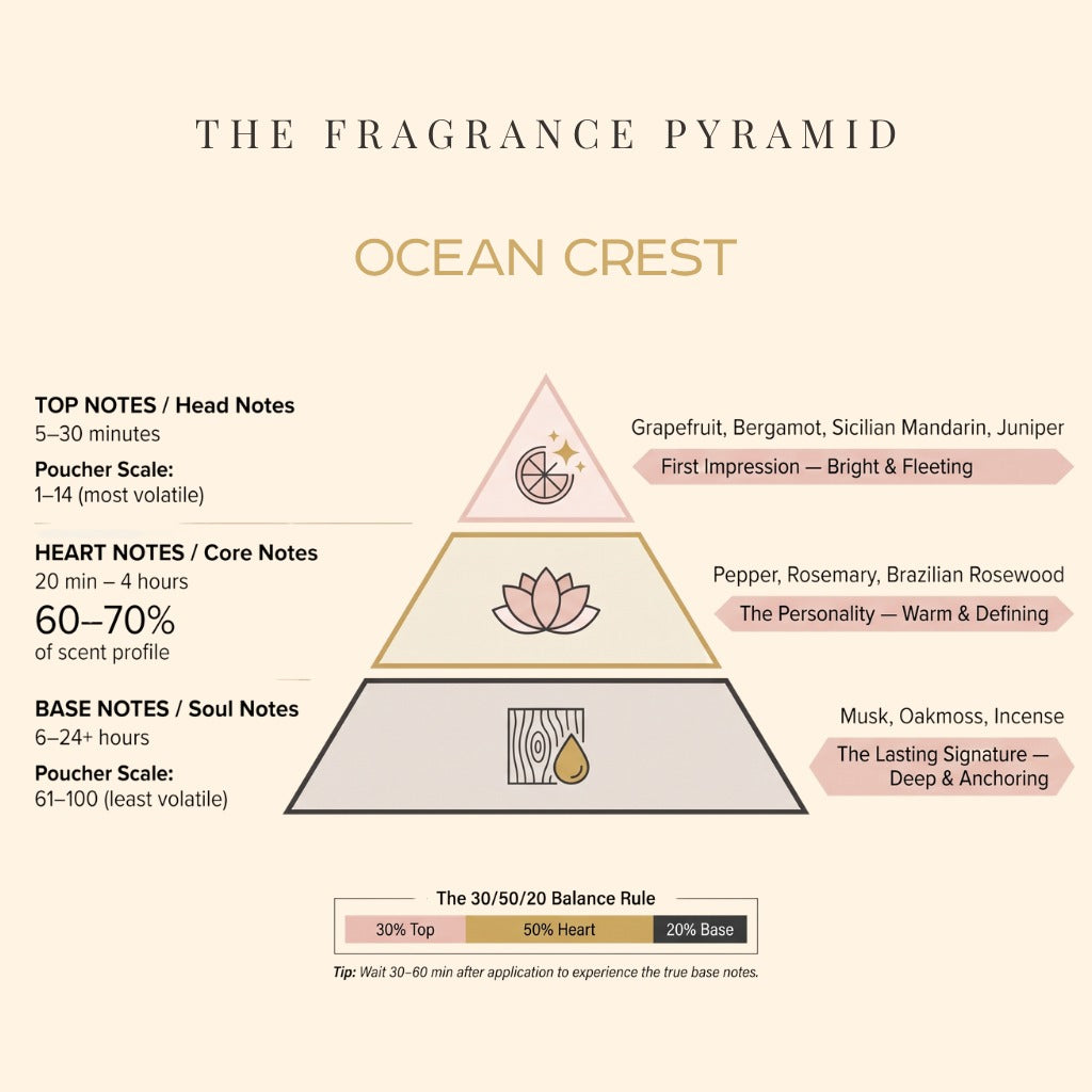 Ocean Crest fragrance pyramid: top, heart and base notes