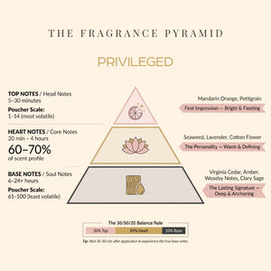 Privileged fragrance pyramid: top, heart and base notes