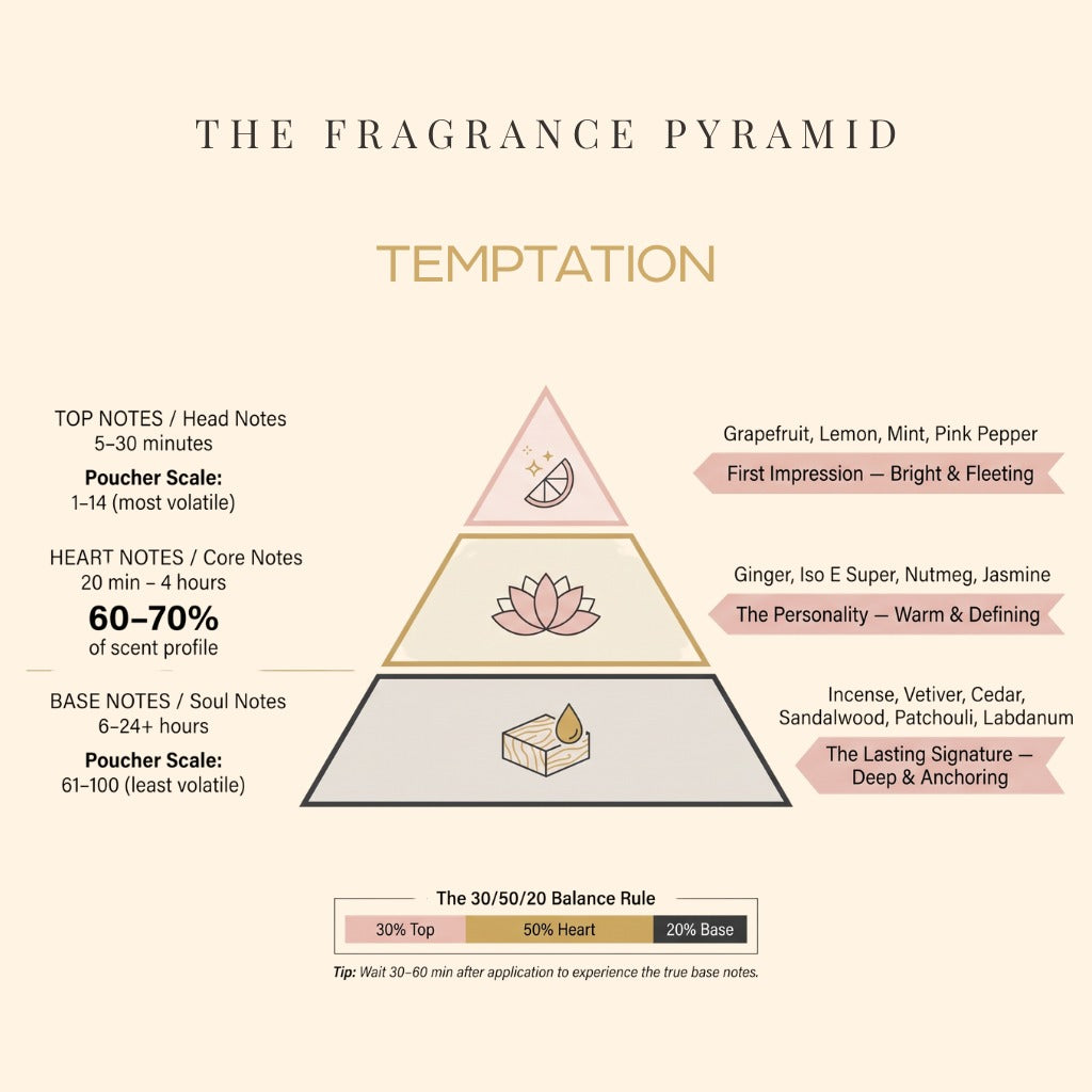 Temptation fragrance pyramid: top, heart and base notes