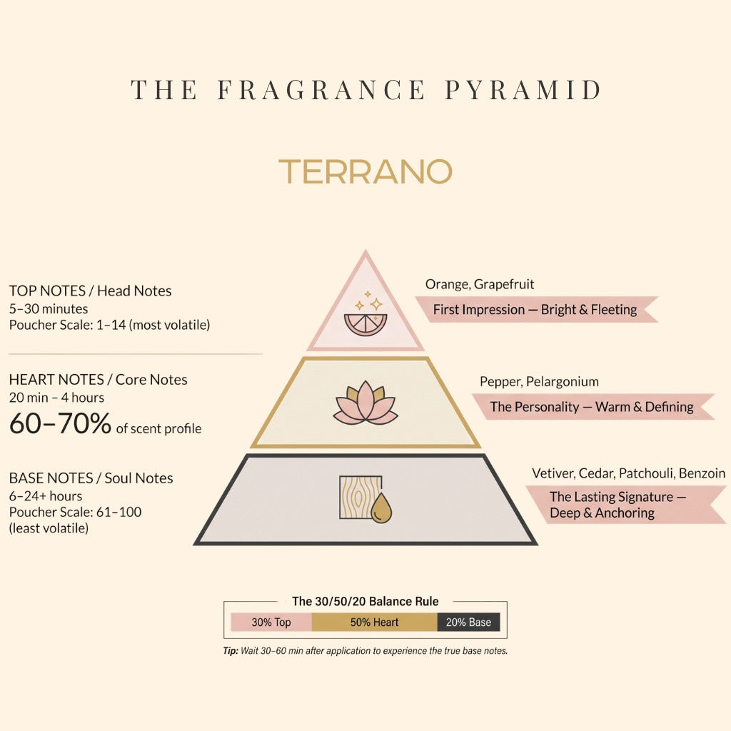 Terrano fragrance pyramid: top, heart and base notes
