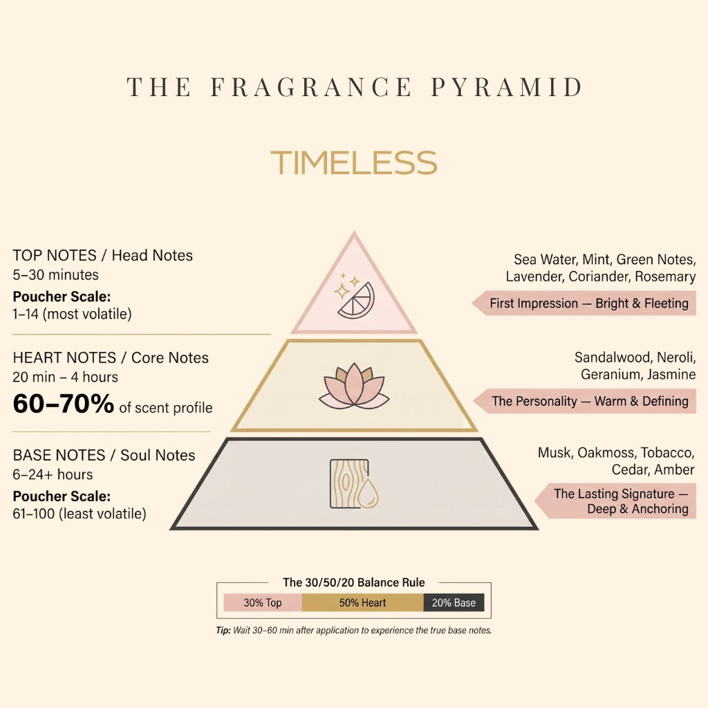Timeless fragrance pyramid: top, heart and base notes