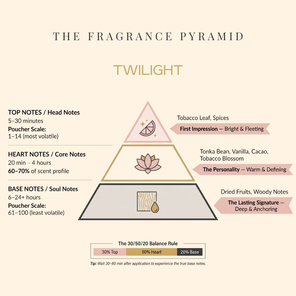 Twilight fragrance pyramid: top, heart and base notes