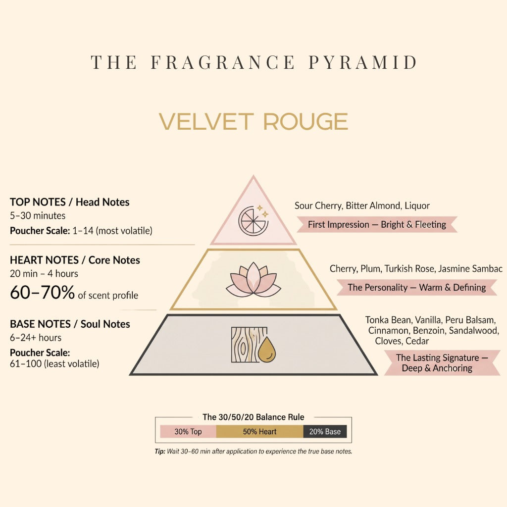 Velvet Rouge fragrance pyramid: top, heart and base notes