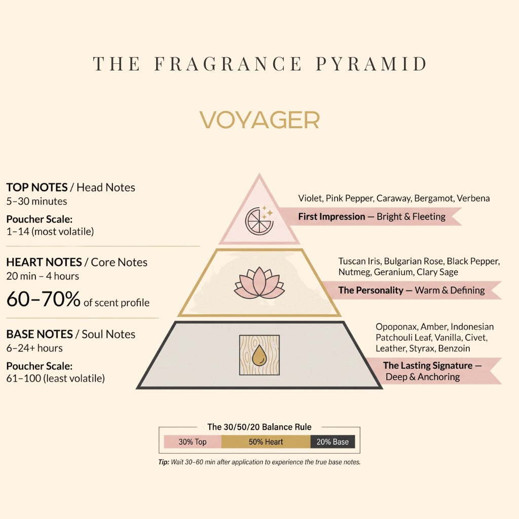 Voyager fragrance pyramid: top, heart and base notes