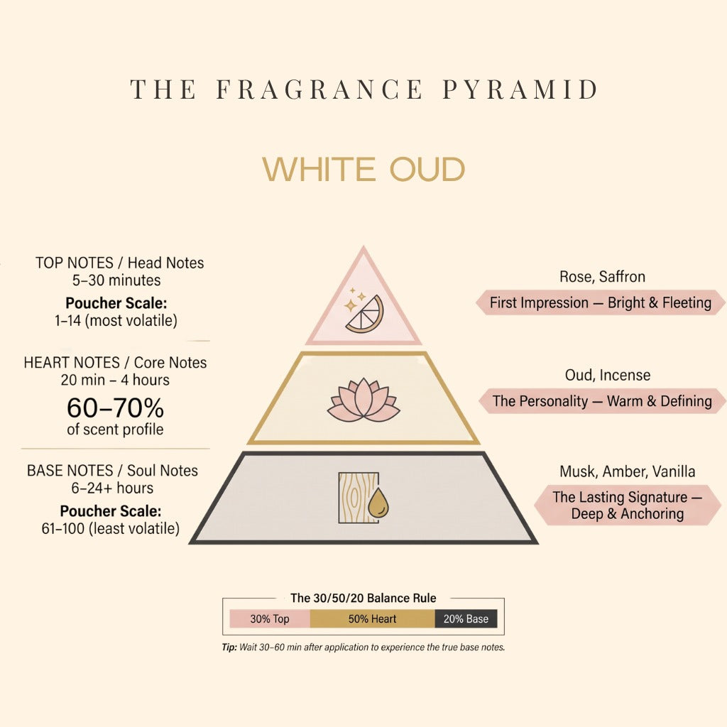 White Oud fragrance pyramid: top, heart and base notes