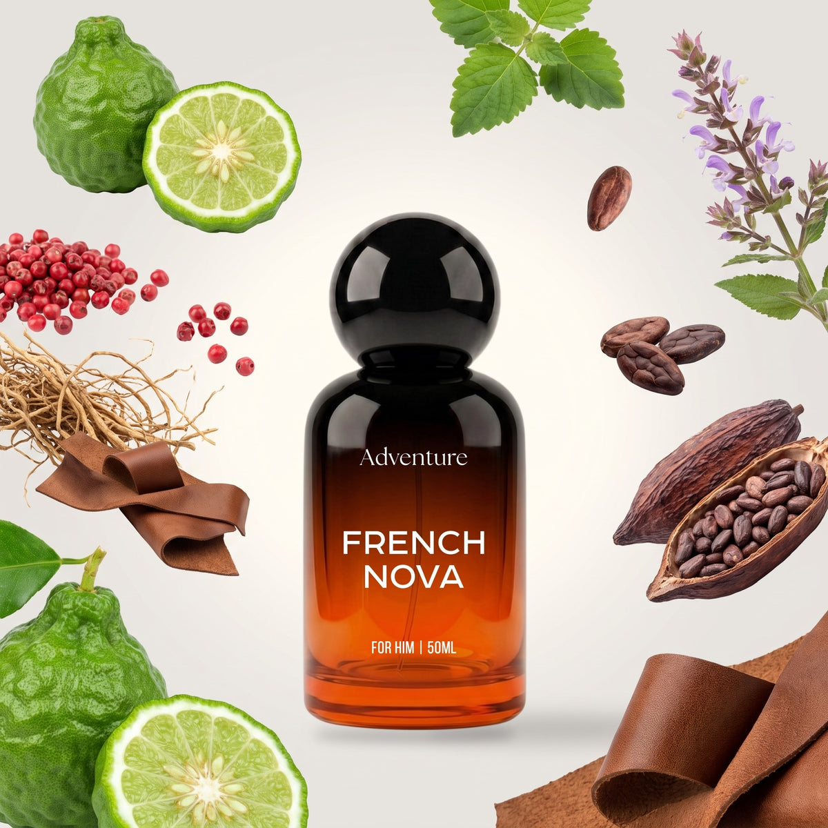 Adventure French Nova perfume bottle with its fragrance notes