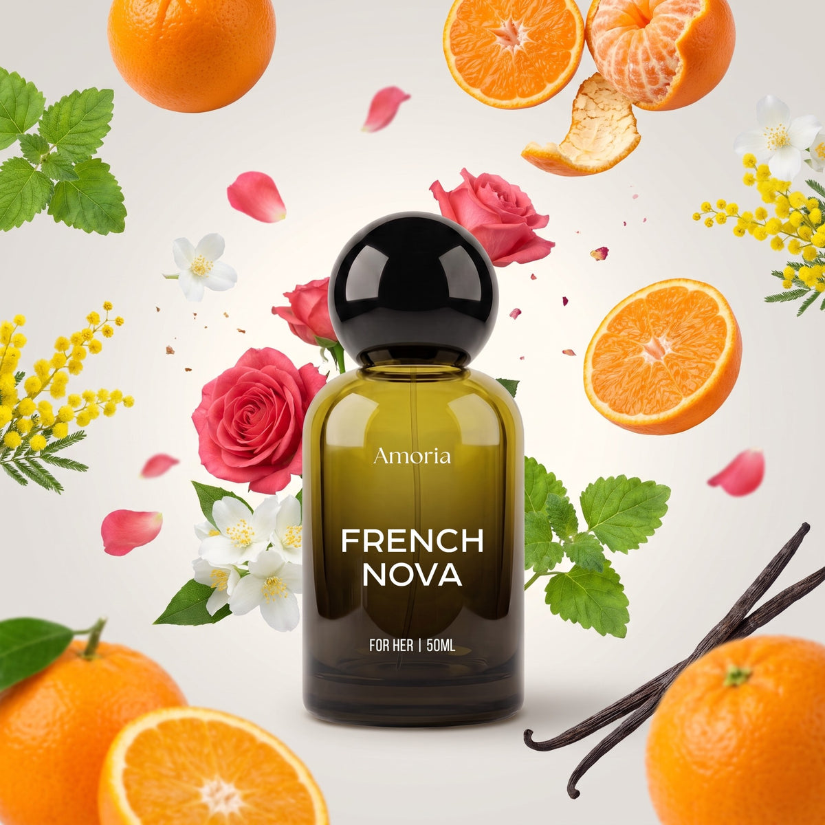 Amoria French Nova perfume with its notes: orange, mandarin, rose, mimosa, vanilla
