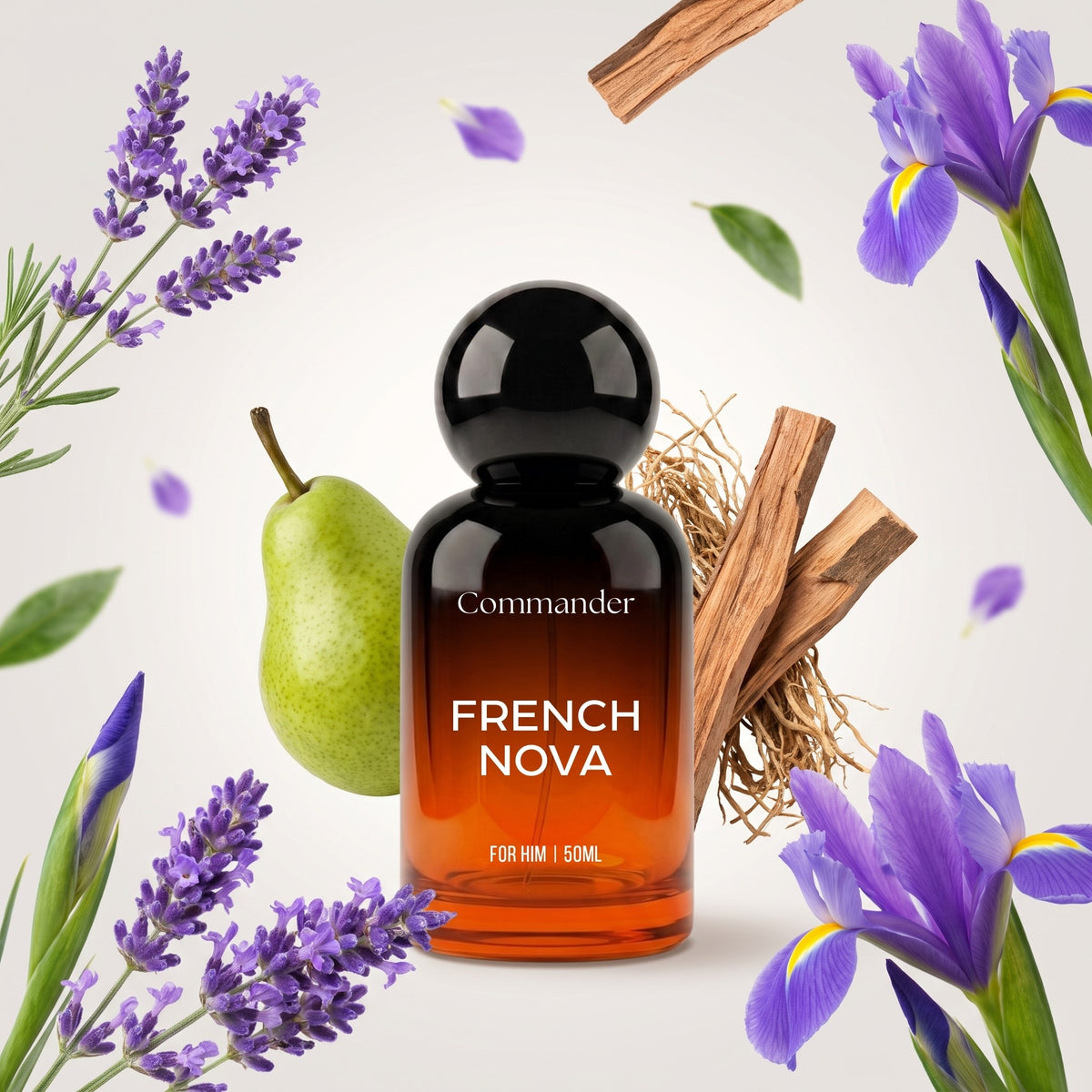 Commander French Nova perfume bottle with its fragrance notes