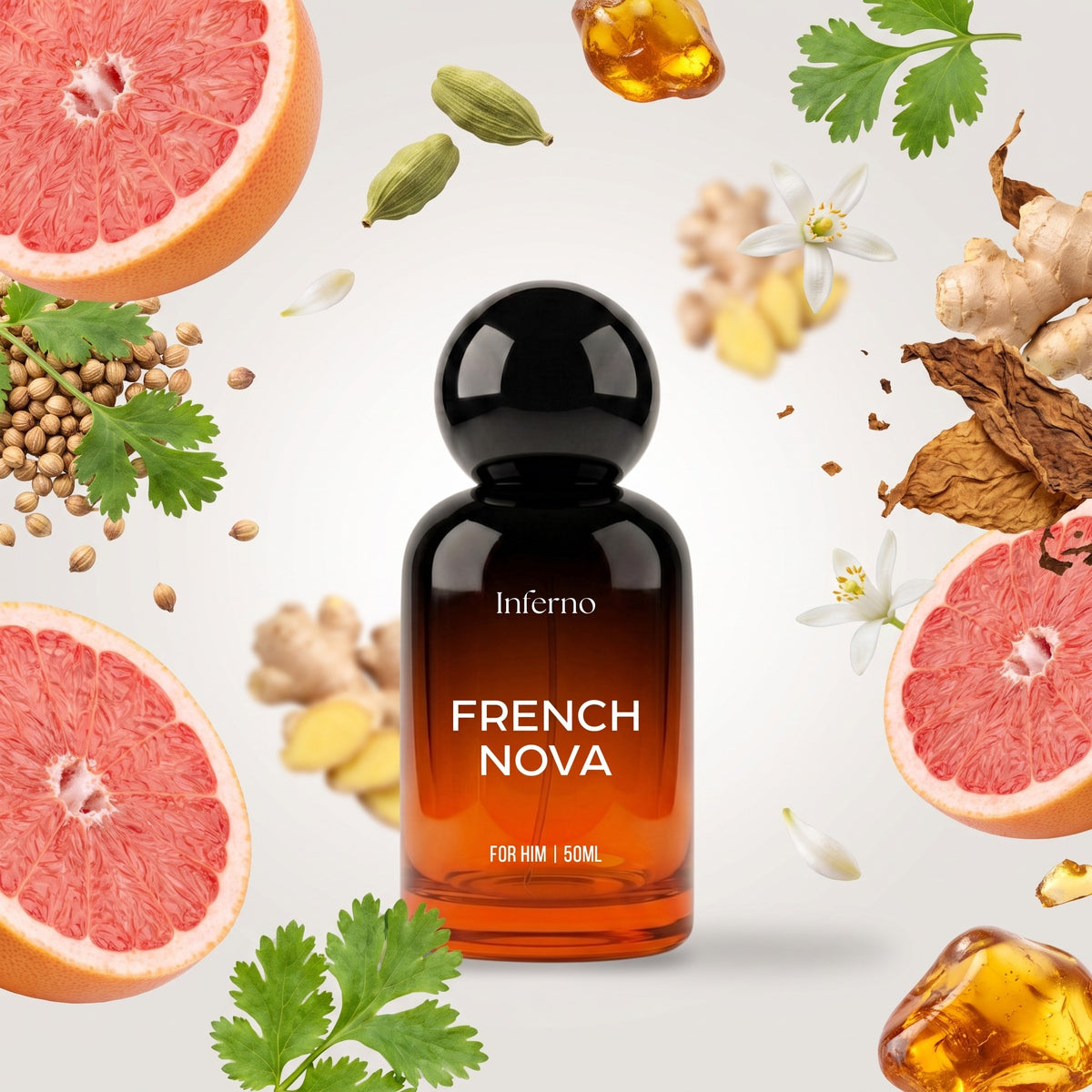Inferno French Nova perfume bottle with its fragrance notes
