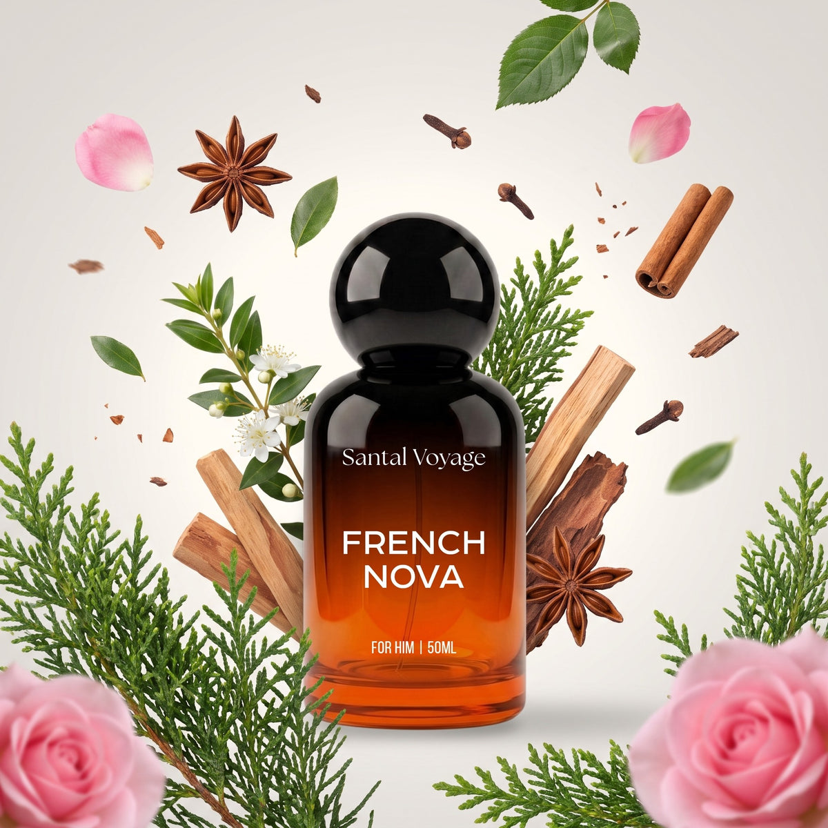 Santal Voyage French Nova perfume bottle with its fragrance notes