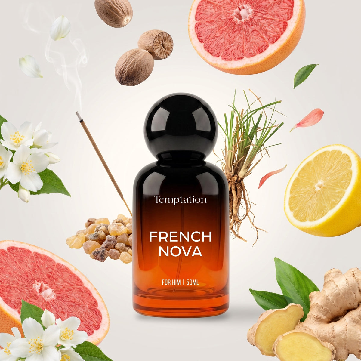 Temptation French Nova perfume bottle with its fragrance notes
