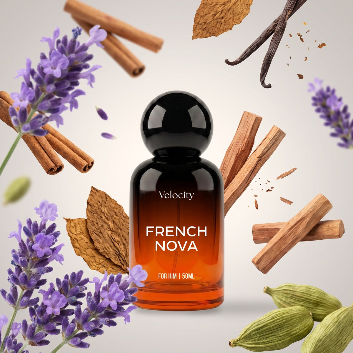 Velocity French Nova perfume bottle with its fragrance notes
